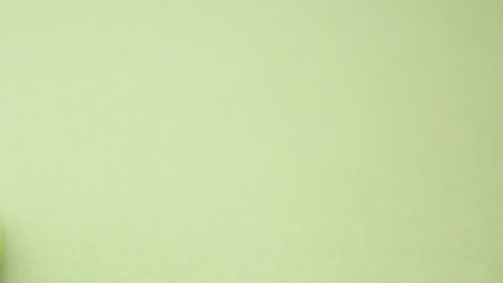 collection-banner-image